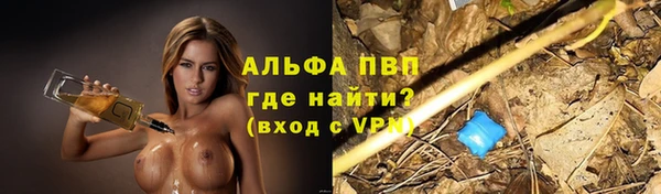 амф Алексин